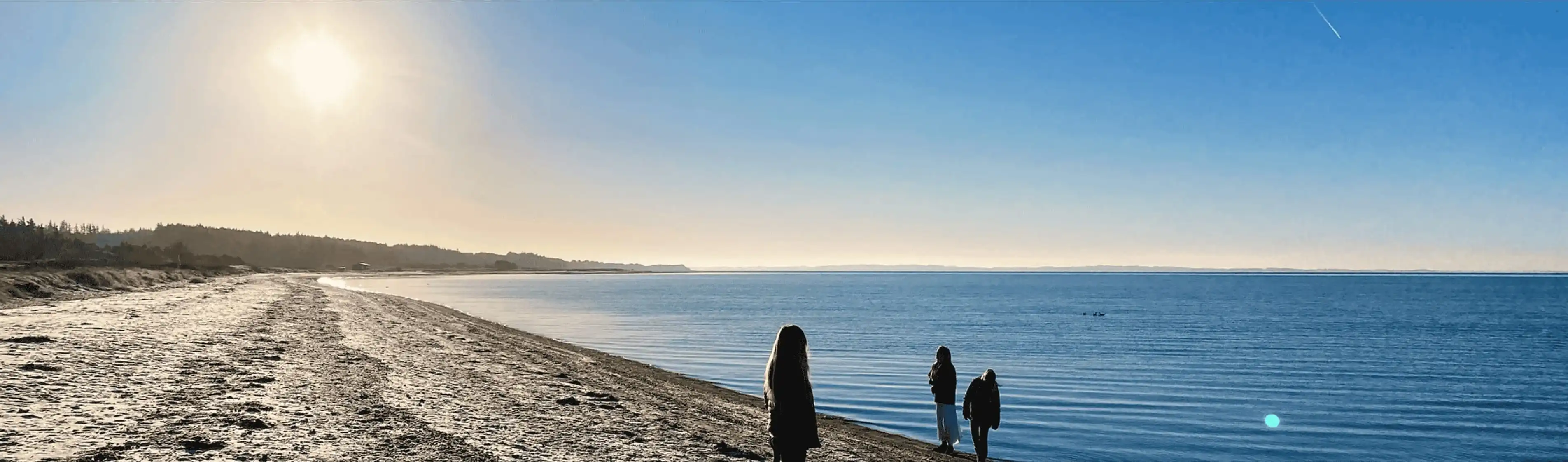people on the seashore